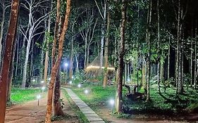 Tall Trees - Modern Forest Villa In Wayanad