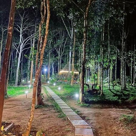 Tall Trees - Modern Forest Villa In Wayanad Sultan Bathery Exterior photo