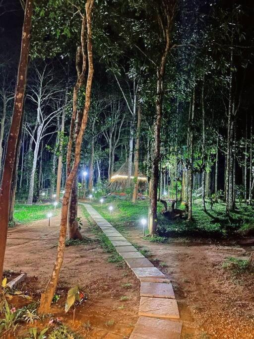 Tall Trees - Modern Forest Villa In Wayanad Sultan Bathery Exterior photo
