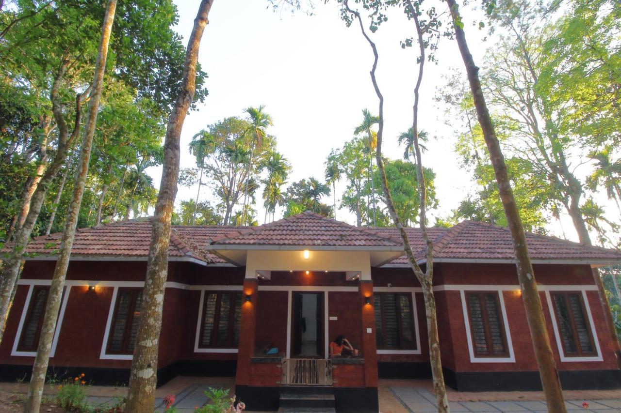 Tall Trees - Modern Forest Villa In Wayanad Sultan Bathery Exterior photo
