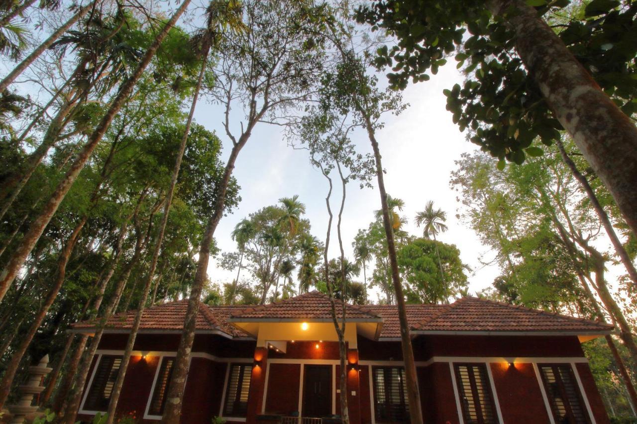 Tall Trees - Modern Forest Villa In Wayanad Sultan Bathery Exterior photo