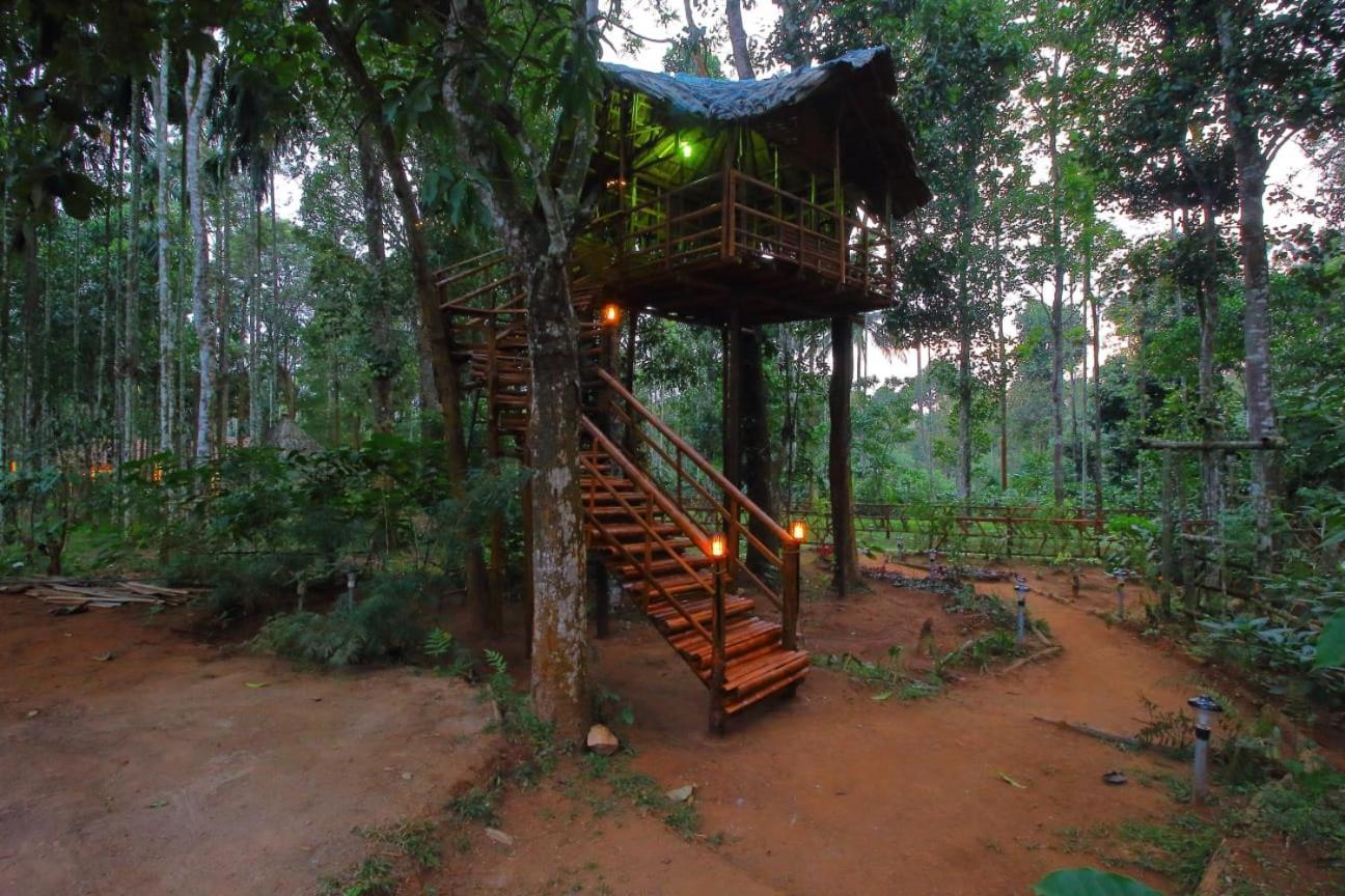 Tall Trees - Modern Forest Villa In Wayanad Sultan Bathery Exterior photo
