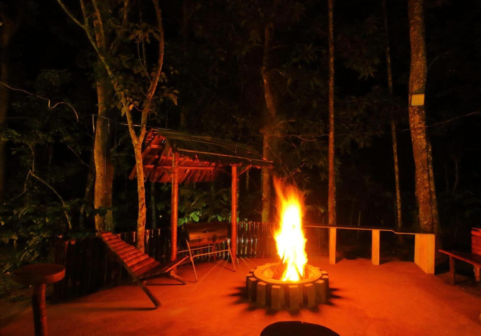 Tall Trees - Modern Forest Villa In Wayanad Sultan Bathery Exterior photo