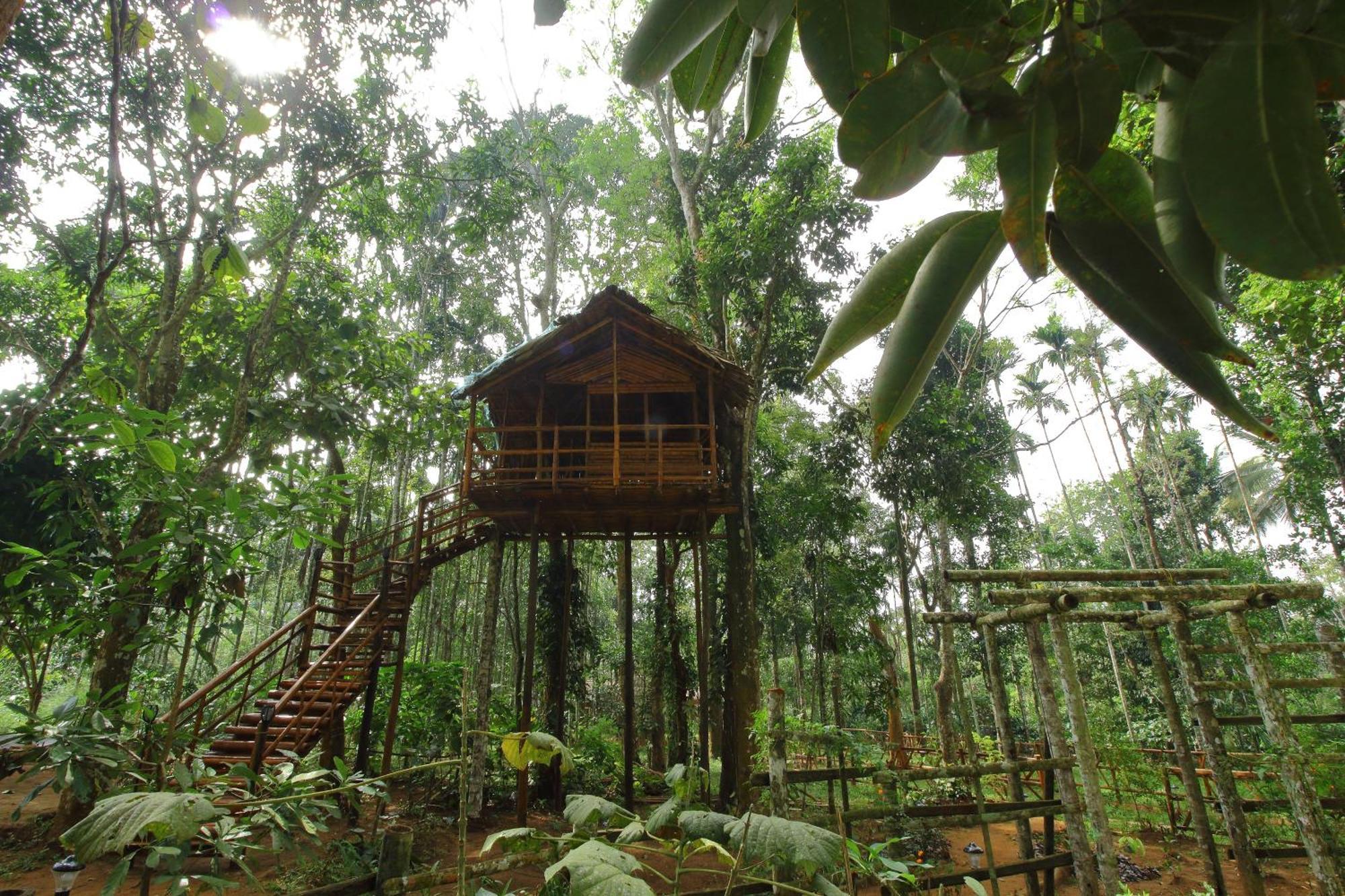 Tall Trees - Modern Forest Villa In Wayanad Sultan Bathery Exterior photo