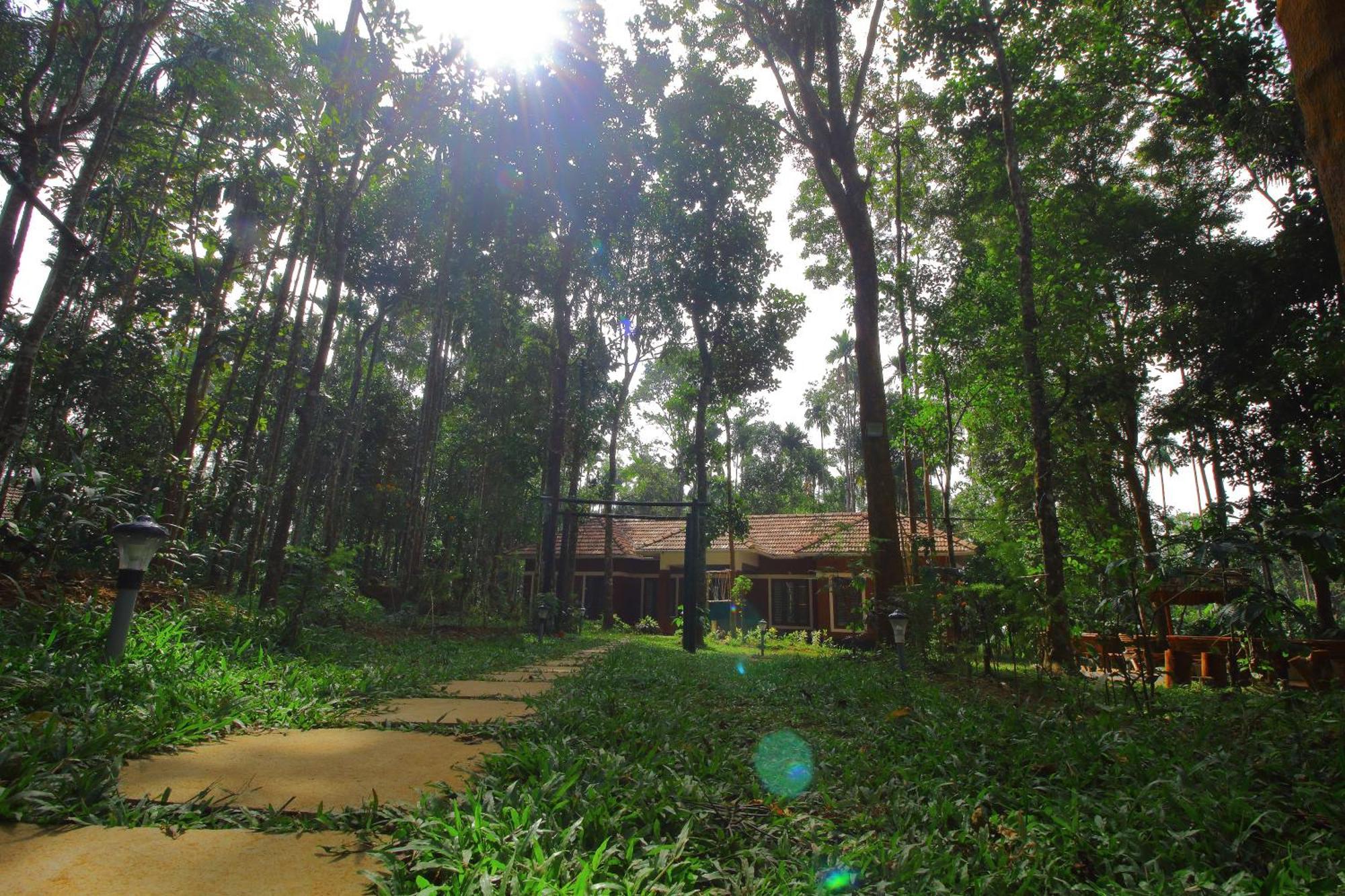 Tall Trees - Modern Forest Villa In Wayanad Sultan Bathery Exterior photo